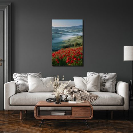 OBRAZ ČERVENÉ MÁKY V KRAJINĚ - OBRAZY POLE A LOUKY - OBRAZY