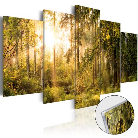 PICTURE ON ACRYLIC GLASS MAGIC FOREST