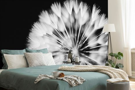 FOTOTAPETA PAMPELIŠKA V ČERNOBÍLÉM - ČERNOBÍLÉ TAPETY - TAPETY