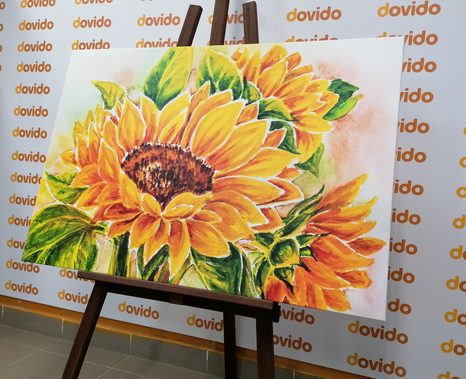 OBRAZ NÁDHERNÁ SLUNEČNICE - OBRAZY KVĚTŮ - OBRAZY