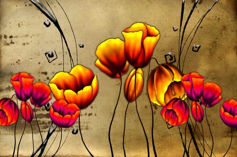 CARTA DA PARATI AUTOADESIVA – PAPAVERI IN STILE ETNICO - CARTA DA PARATI AUTOADESIVE - CARTA DA PARATI