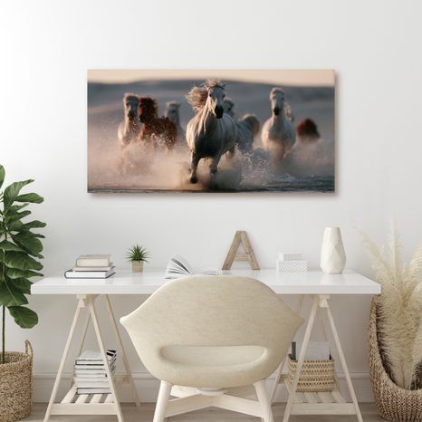 OBRAZ STÁDO KONÍ V BĚHU - PICTURES HORSES - PICTURES