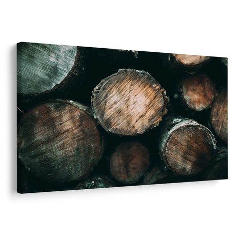 QUADRO SU TELA – TRONCHI DI LEGNO DA VICINO - QUADRI ALBERI E FOGLIE - STAMPE E QUADRI