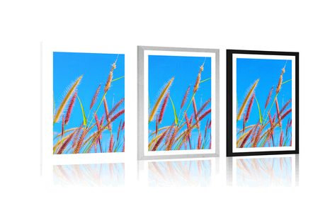 POSTER WITH MOUNT WILD GRASS UNDER A BLUE SKY - NATURE - POSTERS