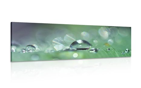 CANVAS PRINT DEW DROP - PICTURES OF NATURE AND LANDSCAPE - PICTURES