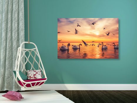 WANDBILD SCHWÄNE AUF DEM MEER - BILDER TIERE - BILDER