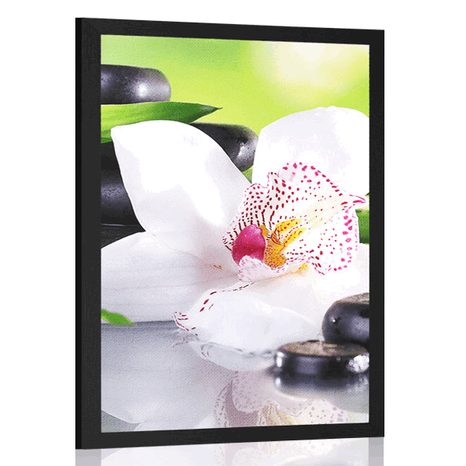 PLAKAT JAPOŃSKA ORCHIDEA - FENG SHUI - PLAKATY