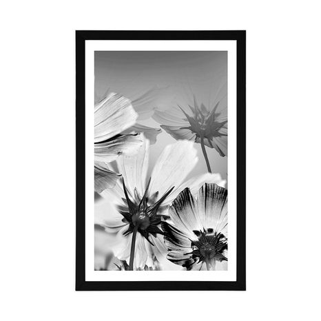 AFFICHE AVEC PASSE-PARTOUT – FLEURS DE JARDIN EN NOIR ET BLANC - NOIR ET BLANC - AFFICHES