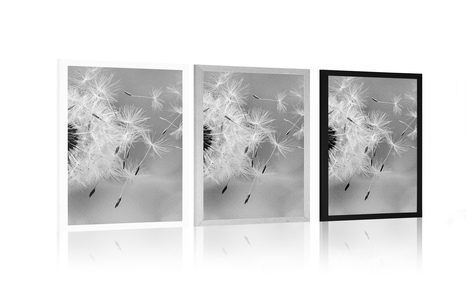 POSTER – SOFFIONE MAGICO IN BIANCO E NERO - NERO E BIANCO - POSTER