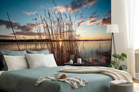 FOTOTAPETA STÉBLA TRÁVY U JEZERA - TAPETY PŘÍRODA - TAPETY