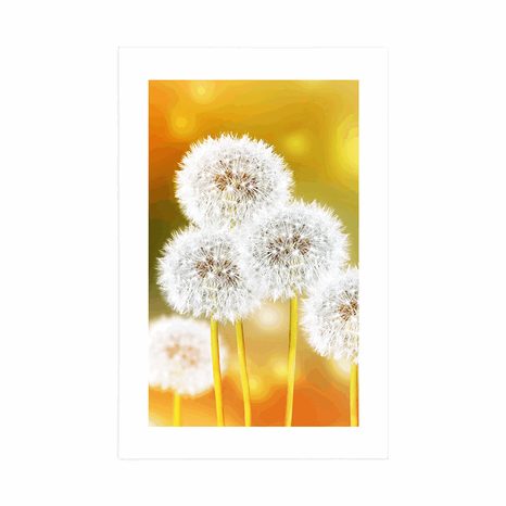 PLAKAT S PASPARTUOM PAHULJASTI MASLAČAK - CVIJEĆE - PLAKATI