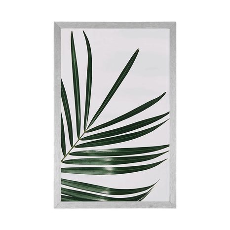 PLAKAT PIĘKNY LIŚĆ PALMOWY - MARTWA NATURA - PLAKATY