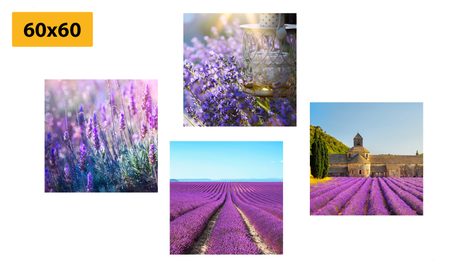 SET OBRAZŮ PRO MILOVNÍKY LEVANDULE - SESTAVY OBRAZŮ - OBRAZY