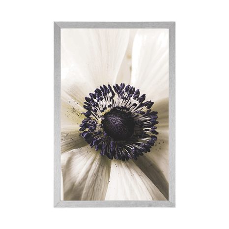 POSTER – FIORE IN FIORE - FIORI - POSTER
