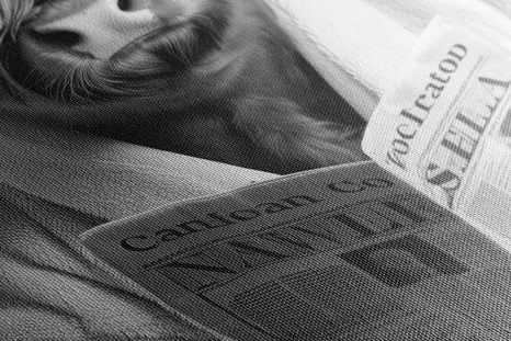 OBRAZ KRAVA S NOVINAMI NA ZÁCHODE - OBRAZY BYVOLY A KRAVY - OBRAZY