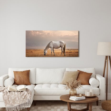 OBRAZ BÍLÝ KŮŇ V KRAJINĚ - OBRAZY KONĚ - OBRAZY