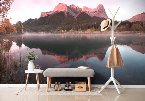 ΑΥΤΟΚΌΛΛΗΤΗ ΤΟΙΧΟΓΡΑΦΊΑ ΗΛΙΟΒΑΣΊΛΕΜΑ ΠΆΝΩ ΑΠΌ ΤΟΥΣ ΔΟΛΟΜΊΤΕΣ - ΑΥΤΟΚΌΛΛΗΤΕΣ ΤΑΠΕΤΣΑΡΊΕΣ - ΤΑΠΕΤΣΑΡΊΕΣ