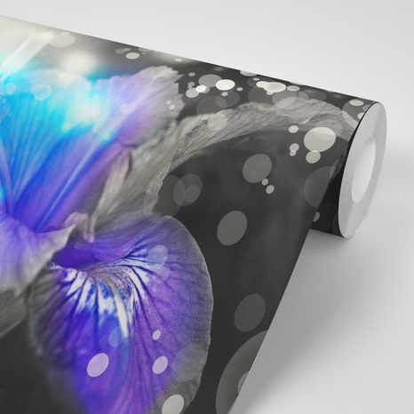 SAMOLEPÍCÍ TAPETA UTAJENÁ KRÁSA LILIE - SAMOLEPÍCÍ TAPETY - TAPETY