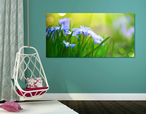 OBRAZ KWIATY NA ŁĄCE WIOSNĄ - OBRAZY KWIATÓW - OBRAZY