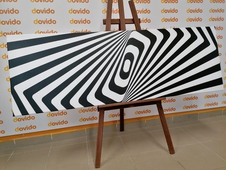 WANDBILD SCHWARZ-WEISSE ILLUSION - SCHWARZ-WEISSE BILDER - BILDER