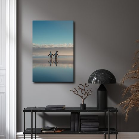 OBRAZ DVA TUČŇÁCI V ODRAZU - OBRAZY MOŘE A PLÁŽ - OBRAZY