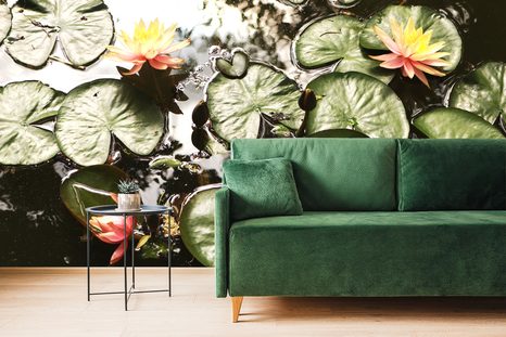 CARTA DA PARATI – FIORE DI LOTO IN GIARDINO - CARTA DA PARATI NATURA - CARTA DA PARATI