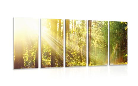 QUADRO IN 5 PARTI RAGGI LEGGERI NELLA FORESTA - QUADRI DI NATURA E PAESAGGIO - QUADRI