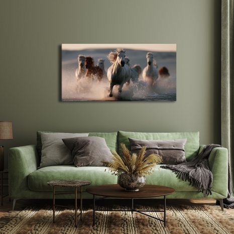 OBRAZ STÁDO KONÍ V BĚHU - PICTURES HORSES - PICTURES