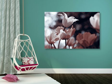 SLIKA SPOMLADANSKI TULIPANI V PARKU - SLIKE ROŽ - SLIKE