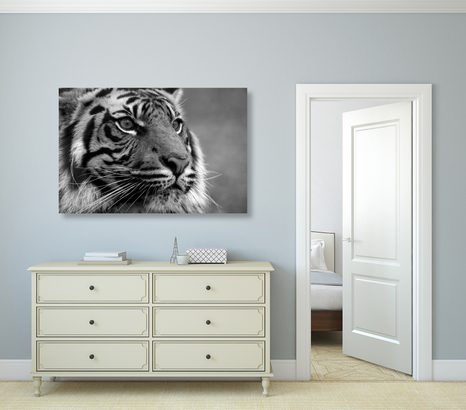 WANDBILD BENGAL-TIGER IN SCHWARZ-WEISS - SCHWARZ-WEISSE BILDER - BILDER