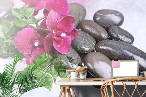 CARTA DA PARATI – ORCHIDEA FIORITA E PIETRE BENESSERE - CARTA DA PARATI FENG SHUI - CARTA DA PARATI