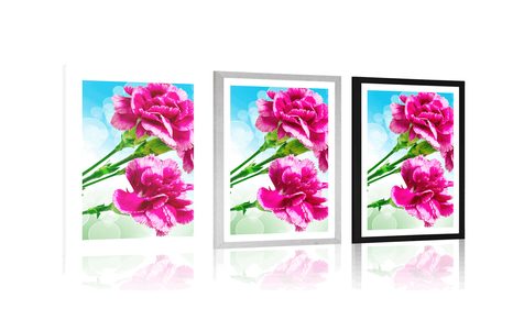 AFFICHE – FLEUR D'ŒILLET - FLEURS - AFFICHES