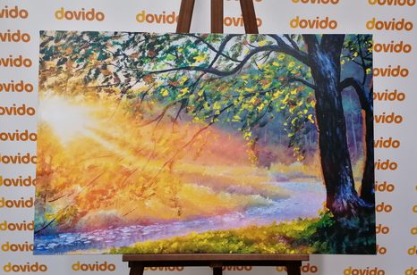 SLIKA IZLAZAK SUNCA U ŠUMI - SLIKE PRIRODE I KRAJOLIKA - SLIKE