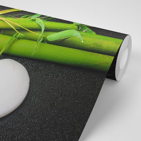 FOTOTAPETA KAMENY VE TVARU JIN A JANG - TAPETY FENG SHUI - TAPETY