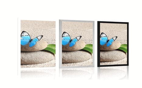 POSTER BLAUER SCHMETTERLING AUF ZEN-STEIN - FENG SHUI - POSTER