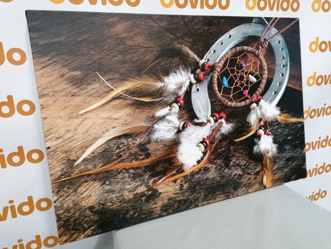 КАРТИНА НА ПЛАТНО – ЛОВЕЦ НА СЪНИЩА - НАТЮРМОРТИ - КАРТИНИ