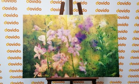 ΕΙΚΌΝΑ ΣΧΈΔΙΟ ΑΚΟΥΑΡΈΛΑΣ ΕΝΌΣ ΦΥΤΟΎ ΒΟΥΝΟΎ - ΠΊΝΑΚΕΣ ΑΠΌ ΛΟΥΛΟΎΔΙΑ - ΠΊΝΑΚΕΣ