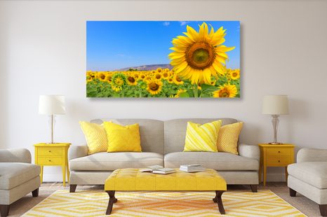 CANVAS PRINT SUNFLOWER FIELD - PICTURES - 🔥 TOTAL SALE 🔥