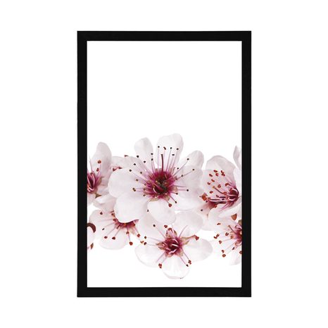 POSZTER CSERESZNYE VIRÁG - VIRÁGMINTÁS - POSZTEREK