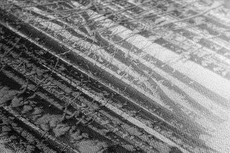 SLIKA ZASNEŽENI GOZD V ČRNOBELI IZVEDBI - ČRNOBELE SLIKE - SLIKE