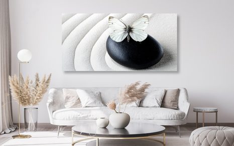 OBRAZ ZEN KÁMEN S MOTÝLEM - OBRAZY FENG SHUI - OBRAZY