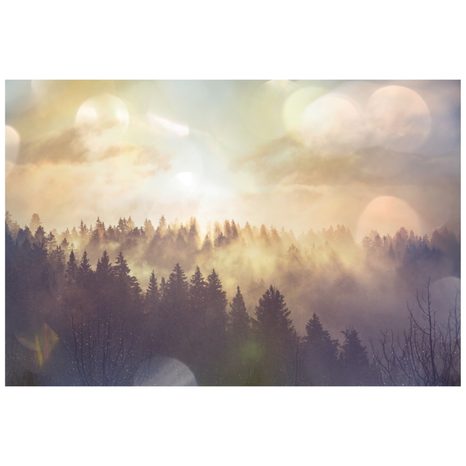 SAMOLEPÍCÍ FOTOTAPETA MLHA NAD LESEM - SAMOLEPÍCÍ TAPETY - TAPETY