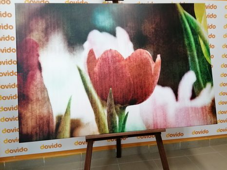 WANDBILD WIESE MIT TULPEN IM RETRO-STIL - BILDER BLUMEN - BILDER