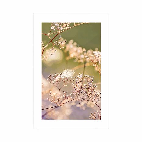 AFFICHE – NATURE MORTE DE FLEURS - FLEURS - AFFICHES