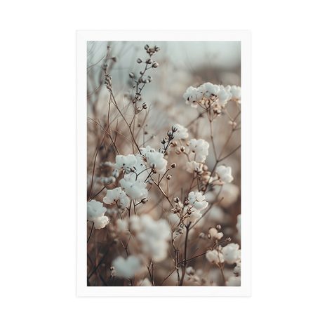 POSZTER GYAPOTNÖVÉNY. - BOTANIKUS - POSZTEREK