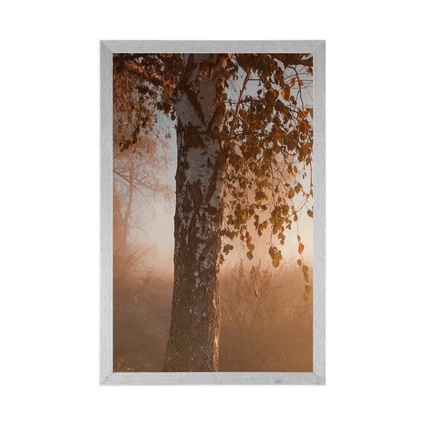 POSTER NEBLIGER HERBSTWALD - NATUR - POSTER