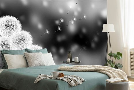 TAPETA ČERNOBÍLÁ NADÝCHANÁ PAMPELIŠKA - ČERNOBÍLÉ TAPETY - TAPETY