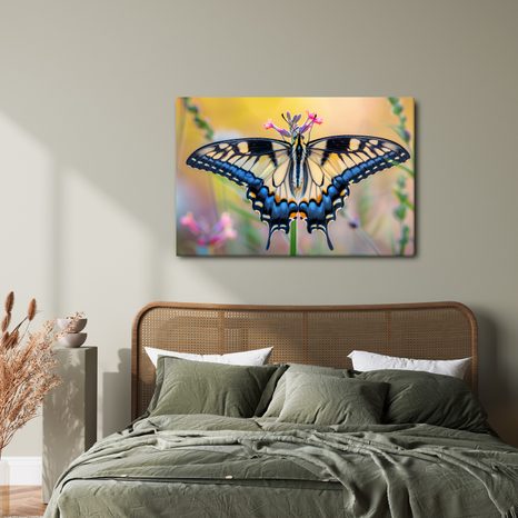 OBRAZ MOTÝL NA LETNÍM KVĚTU - OBRAZY MOTÝLI - OBRAZY