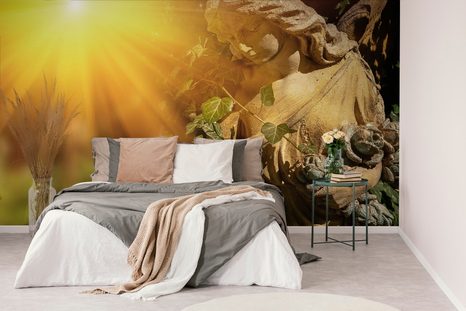 SAMOLEPÍCÍ FOTOTAPETA ANDĚL S PAPRSKY SLUNCE - SAMOLEPÍCÍ TAPETY - TAPETY