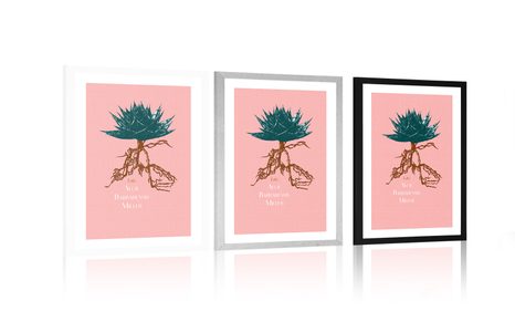 POSTER MIT PASSEPARTOUT UND DER AUFSCHRIFT ALOE BARBADENSIS MILLER - MOTIVE AUS UNSERER WERKSTATT - POSTER